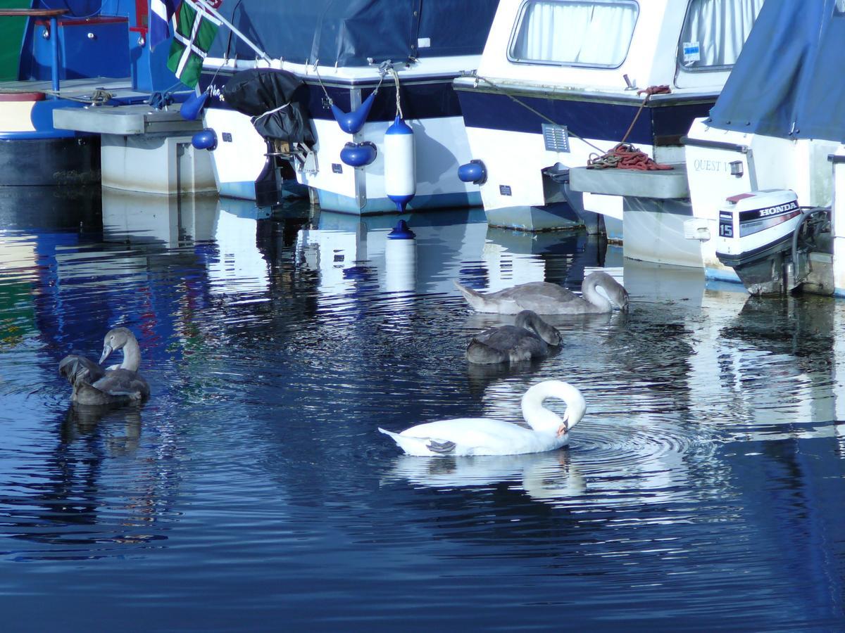 The Boat House Hotel Kilsyth Esterno foto